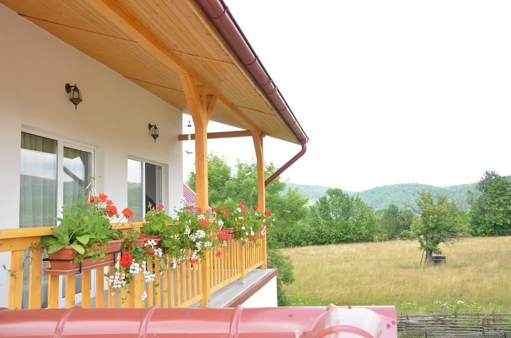Pensiunea Poezii Alese วาเลีย ดรากานูลุย ภายนอก รูปภาพ
