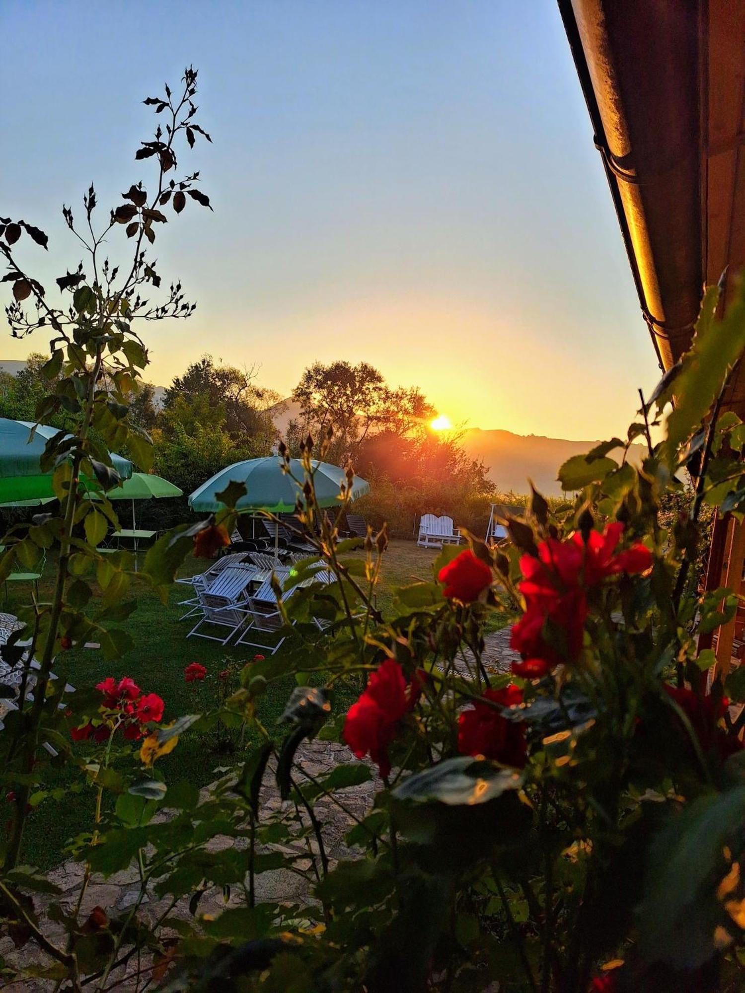 Pensiunea Poezii Alese วาเลีย ดรากานูลุย ภายนอก รูปภาพ
